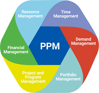 Project Portfolio Management Image - Cognitive Convergence